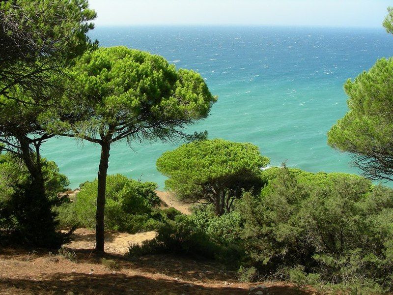 La Aceitera De Trafalgar Barbate Bagian luar foto